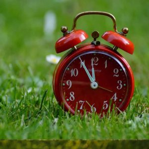 An alarm clock sitting in a green lawn
